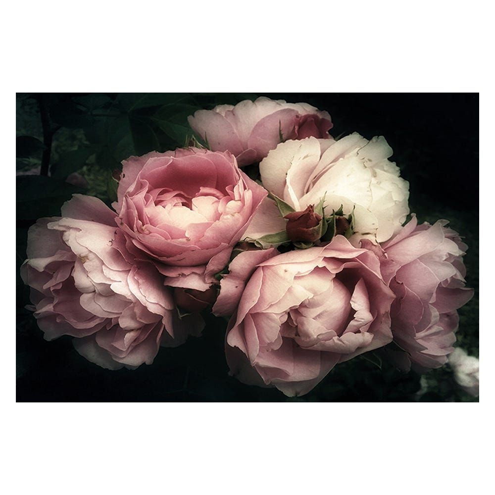 SS20 Diana Peony Bunch Tempered Glass Wall