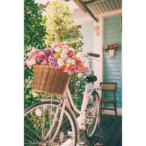 SS22 Diana BicycleTempered Glass Art