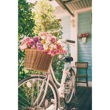 SS22 Diana BicycleTempered Glass Art