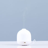 SS21 Aroma Electric Diffuser USB Cable