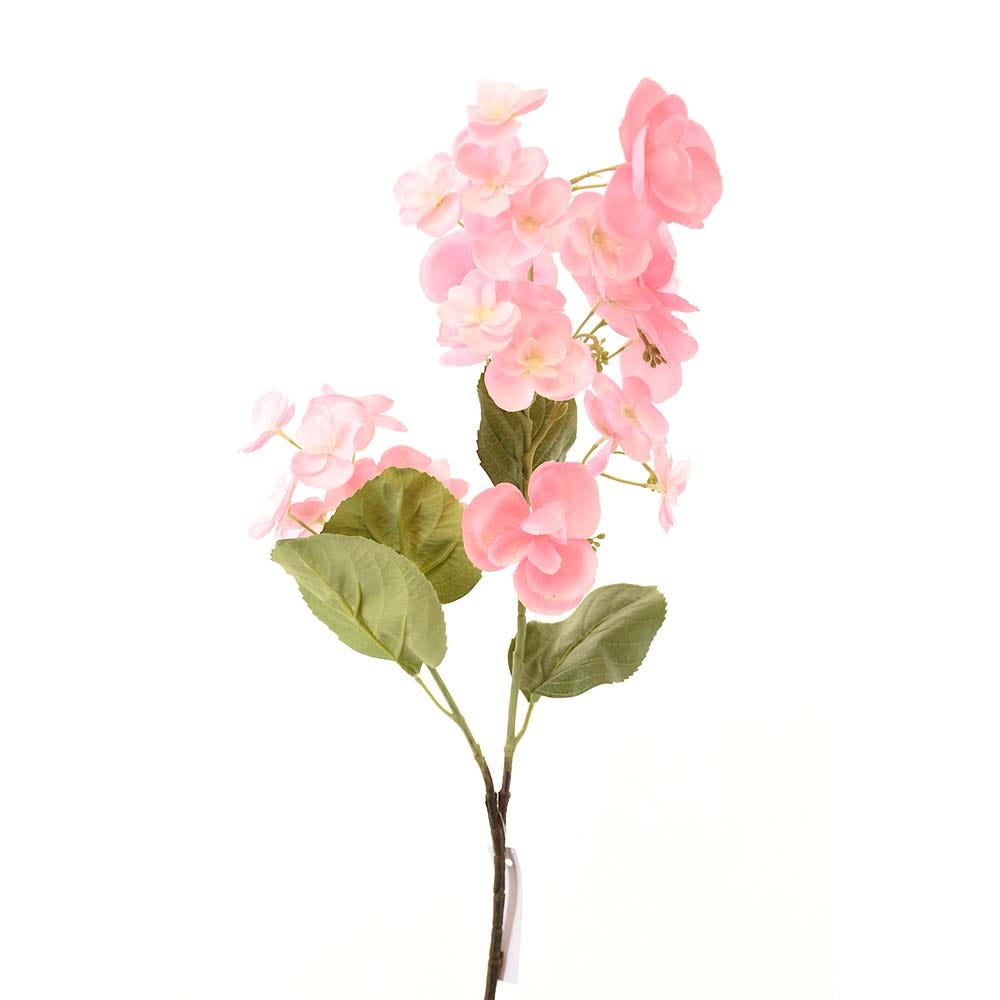 AW21 Rejoice Pink hydrangea